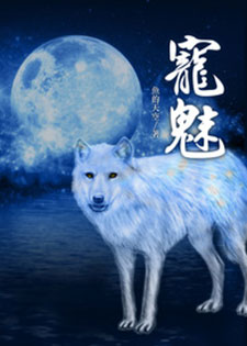 宠魅
