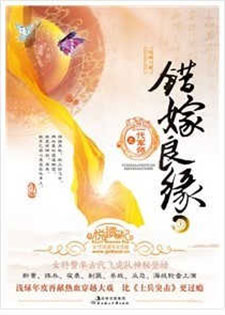 错嫁良缘之洗冤录/错嫁残颜之洗冤集录