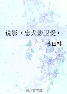 说影（忠犬影卫受）